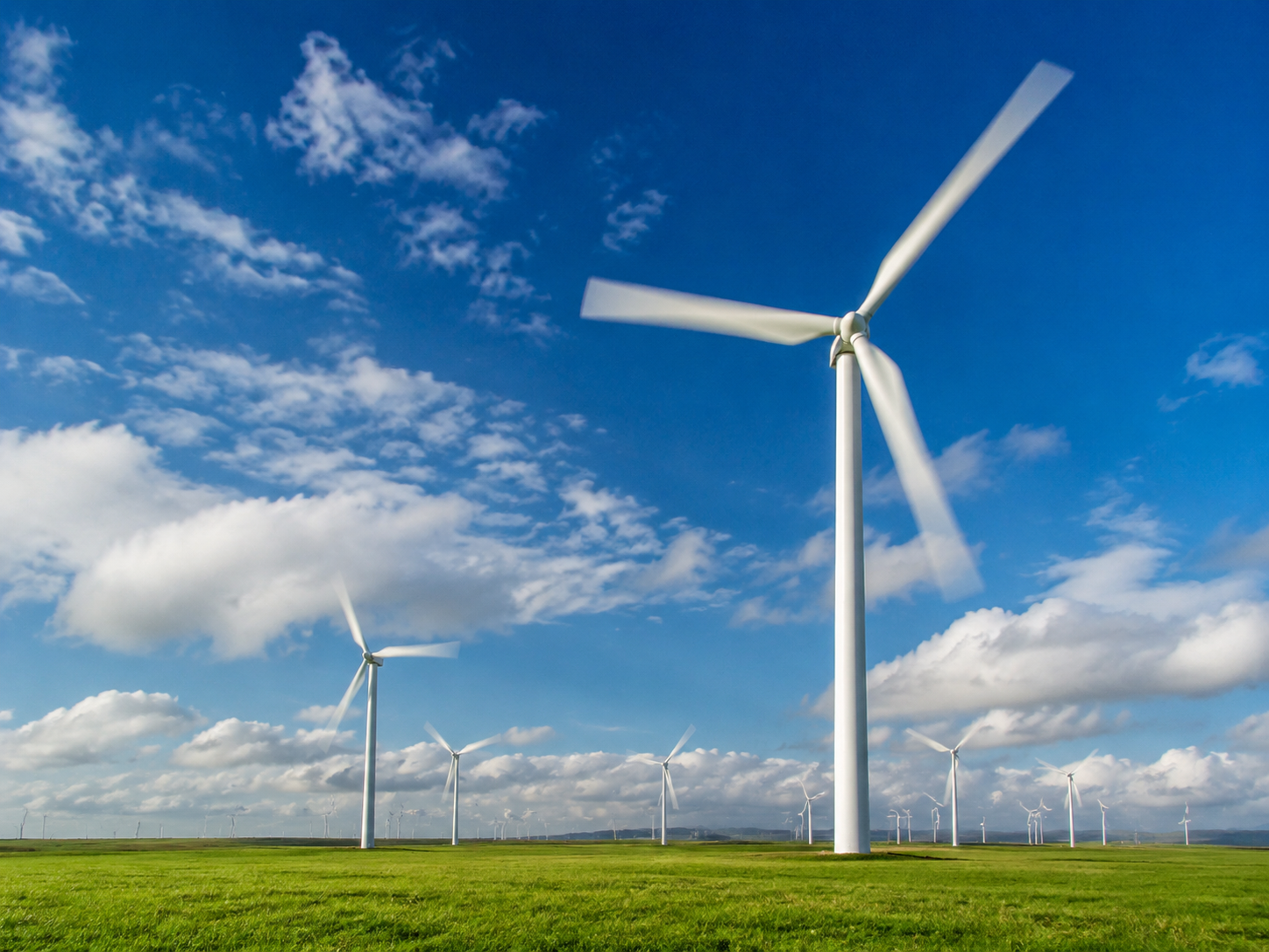 Wind power generation bearings